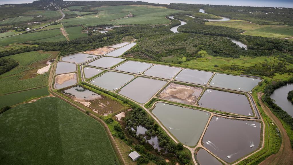 About Us farm